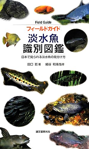 淡水魚識別図鑑 日本で見られる淡水魚の見分け方 フィールドガイド