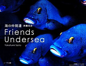 海の仲間達 Friends Undersea