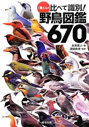 鳥くんの比べて識別！野鳥図鑑670