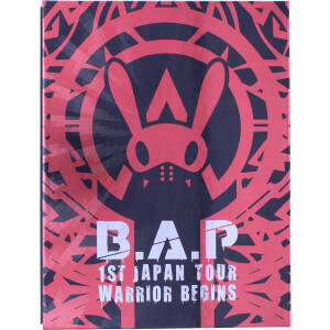 1ST JAPAN TOUR LIVE DVD WARRIOR Begins(初回限定版)