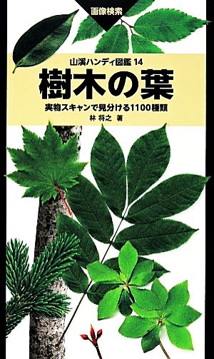樹木の葉実物スキャンで見分ける1100種類山溪ハンディ図鑑14