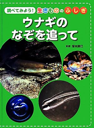 調べてみよう！生きもののふしぎ ウナギのなぞを追って