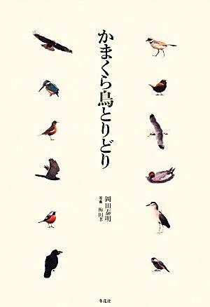 かまくら鳥とりどり