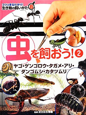 虫を飼おう！(2) ヤゴ・ゲンゴロウ・タガメ・アリ・ダンゴムシ・カタツムリ コツがまるわかり！生き物の飼いかた8