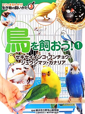 鳥を飼おう！(1) セキセイインコ・ブンチョウ・ジュウシマツ・カナリア コツがまるわかり！生き物の飼いかた3