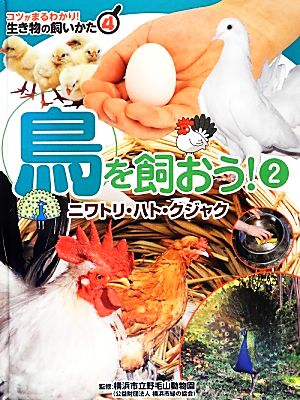 鳥を飼おう！(2) ニワトリ・ハト・クジャク コツがまるわかり！生き物の飼いかた4