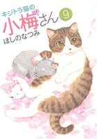 キジトラ猫の小梅さん(9) ねこぱんちC