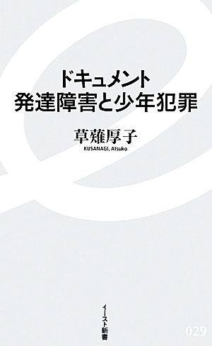 ドキュメント発達障害と少年犯罪 イースト新書