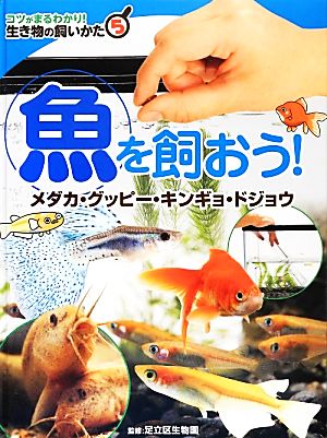 魚を飼おう！ メダカ・グッピー・キンギョ・ドジョウ コツがまるわかり！生き物の飼いかた5