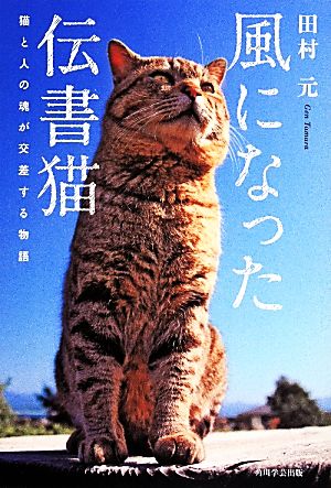 風になった伝書猫 猫と人の魂が交差する物語