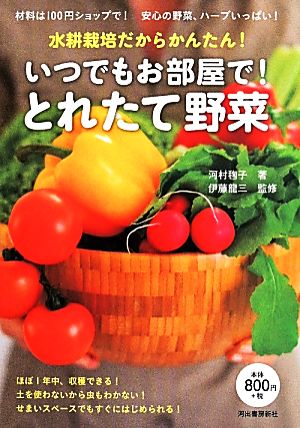 いつでもお部屋で！とれたて野菜 水耕栽培だからかんたん！