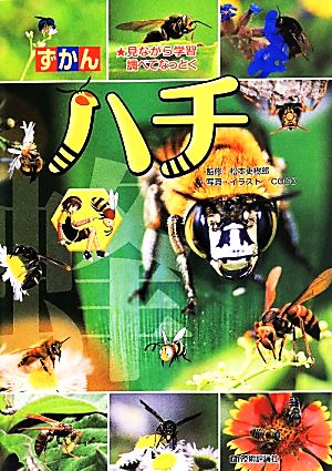 ずかん ハチ 見ながら学習調べてなっとく