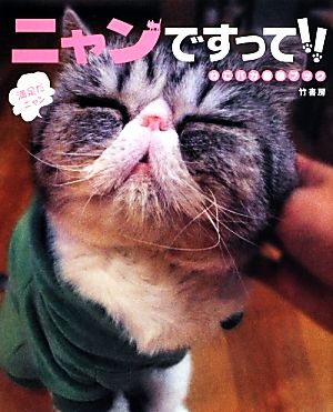 ニャンですって!! ねこバカ画像ブック