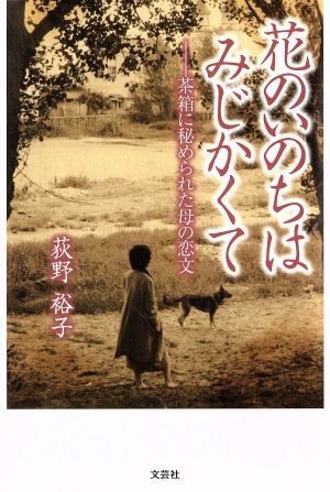 花のいのちはみじかくて 茶箱に秘められた母の恋文