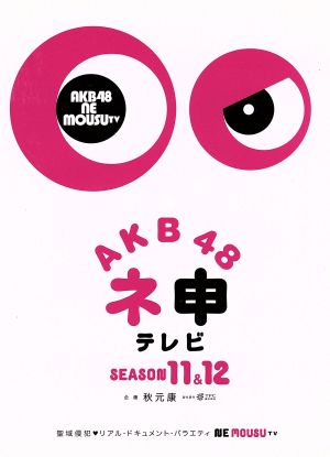 AKB48 ネ申テレビ シーズン11&シーズン12 BOX