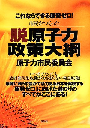 これならできる原発ゼロ！市民がつくった脱原子力政策大綱 