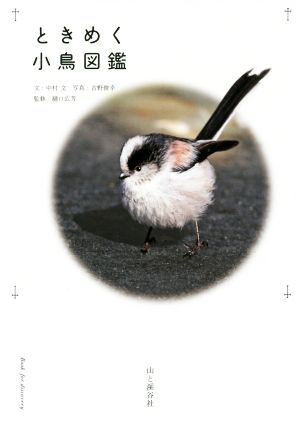 ときめく小鳥図鑑 Book for Discovery