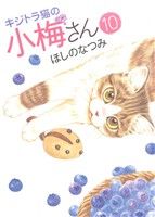 キジトラ猫の小梅さん(10) ねこぱんちC