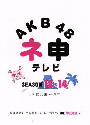 AKB48 ネ申テレビ シーズン13&シーズン14 BOX