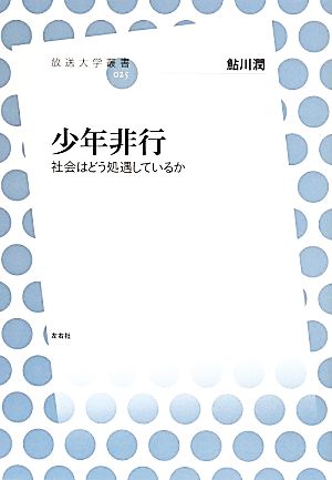 少年非行 社会はどう処遇しているか 放送大学叢書025