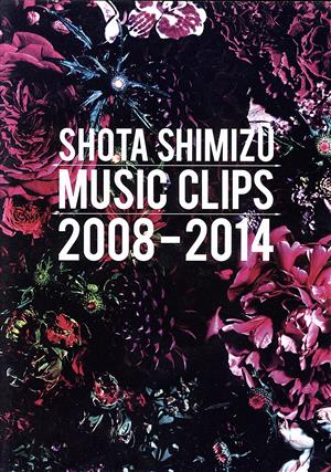 SHOTA SHIMIZU MUSIC CLIPS 2008-2014