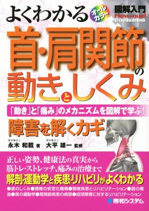 よくわかる 首・肩関節の動きとしくみ 「動き」と「痛み」のメカニズムを図解で学ぶ！ 障害を解くカギ オールカラー 図解入門 How-nual Visual Guide Book