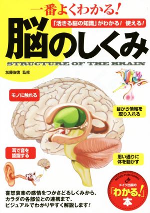 一番よくわかる！脳のしくみ 「活きる脳の知識」がわかる！使える！ 「わかる！」本