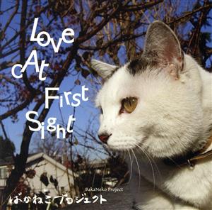 LOVE CAT FIRST SIGHT
