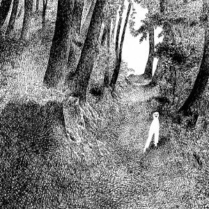 R is for rounding mole