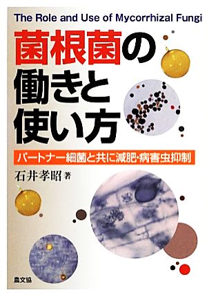 菌根菌の働きと使い方 パートナー細菌と共に減肥・病害虫抑制