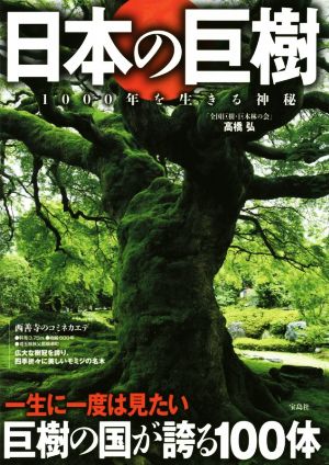 日本の巨樹1000年を生きる神秘