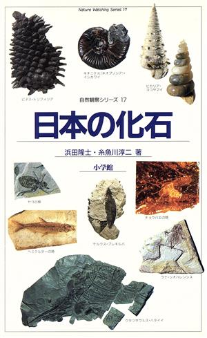 日本の化石自然観察シリーズ17