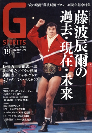 G SPIRITS(Vol.19) タツミムック
