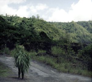 オシラ