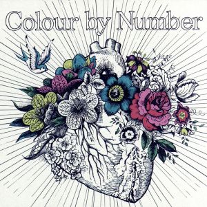 Colour by Number(DVD付)