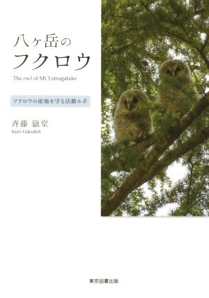 八ケ岳のフクロウ フクロウの産地を守る活動ルポ