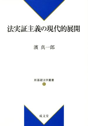 法実証主義の現代的展開 新基礎法学叢書6