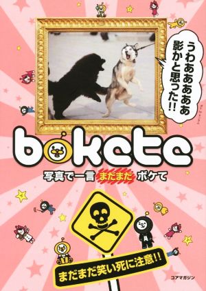 bokete 写真で一言まだまだボケて まだまだ笑い死に注意!!