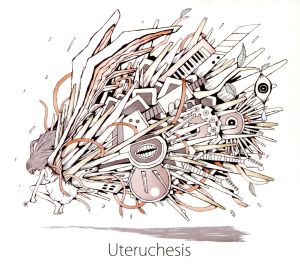 Uteruchesis