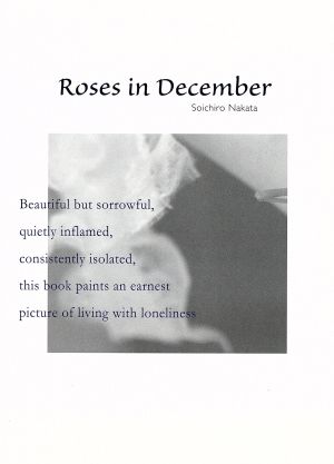 12月の薔薇