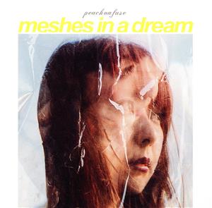 MESHES IN A DREAM