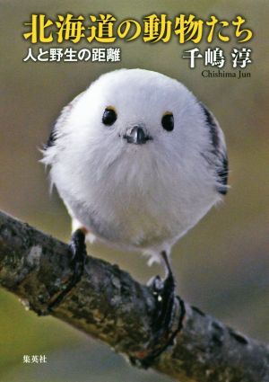 北海道の動物たち 人と野生の距離