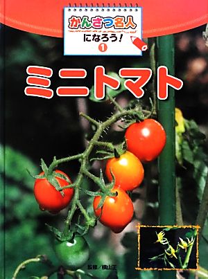 かんさつ名人になろう！(1) ミニトマト