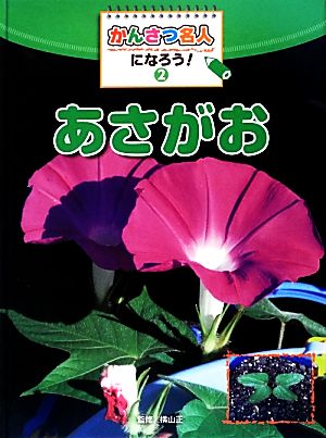 かんさつ名人になろう！(2)あさがお