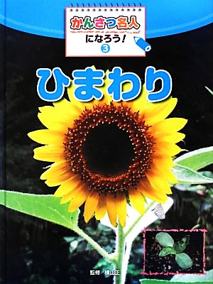 かんさつ名人になろう！(3) ひまわり