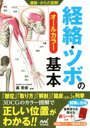 運動・からだ図解 経絡・ツボの基本 オールカラー