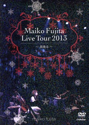 藤田麻衣子 LIVE TOUR 2013～高鳴る～(初回限定版)