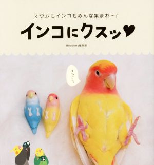 インコにクスッ