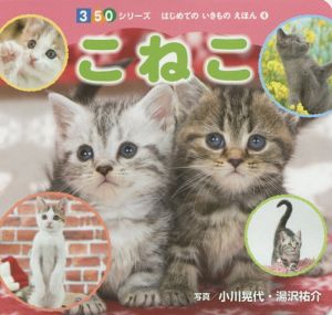 こねこ 350シリーズ はじめてのいきものえほん4