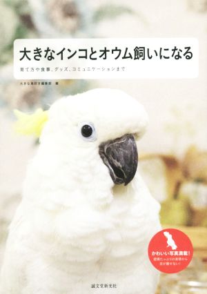 大きなインコとオウム飼いになる 育て方や食事、グッズ、コミュニケーションまで